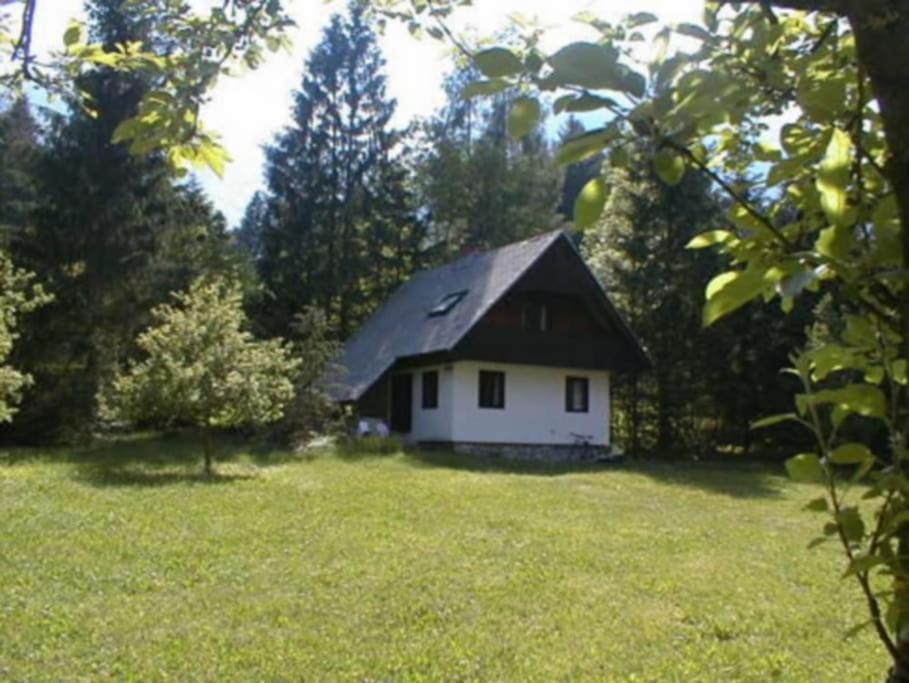Apartment Lake Bohinj No. 5 Екстер'єр фото