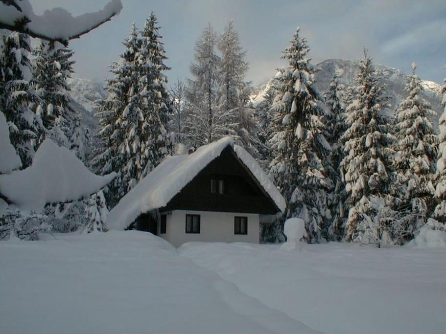 Apartment Lake Bohinj No. 5 Екстер'єр фото