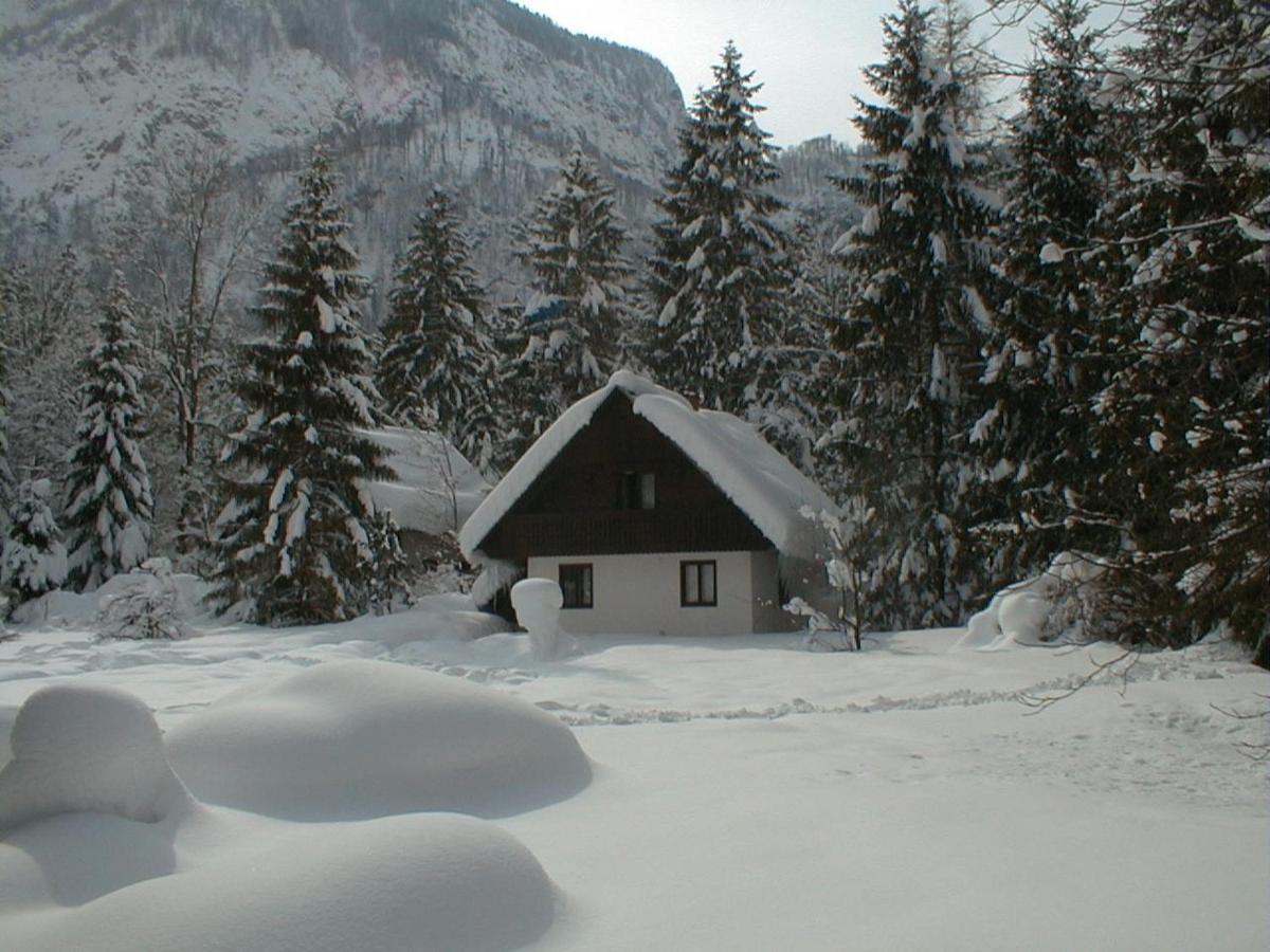Apartment Lake Bohinj No. 5 Екстер'єр фото