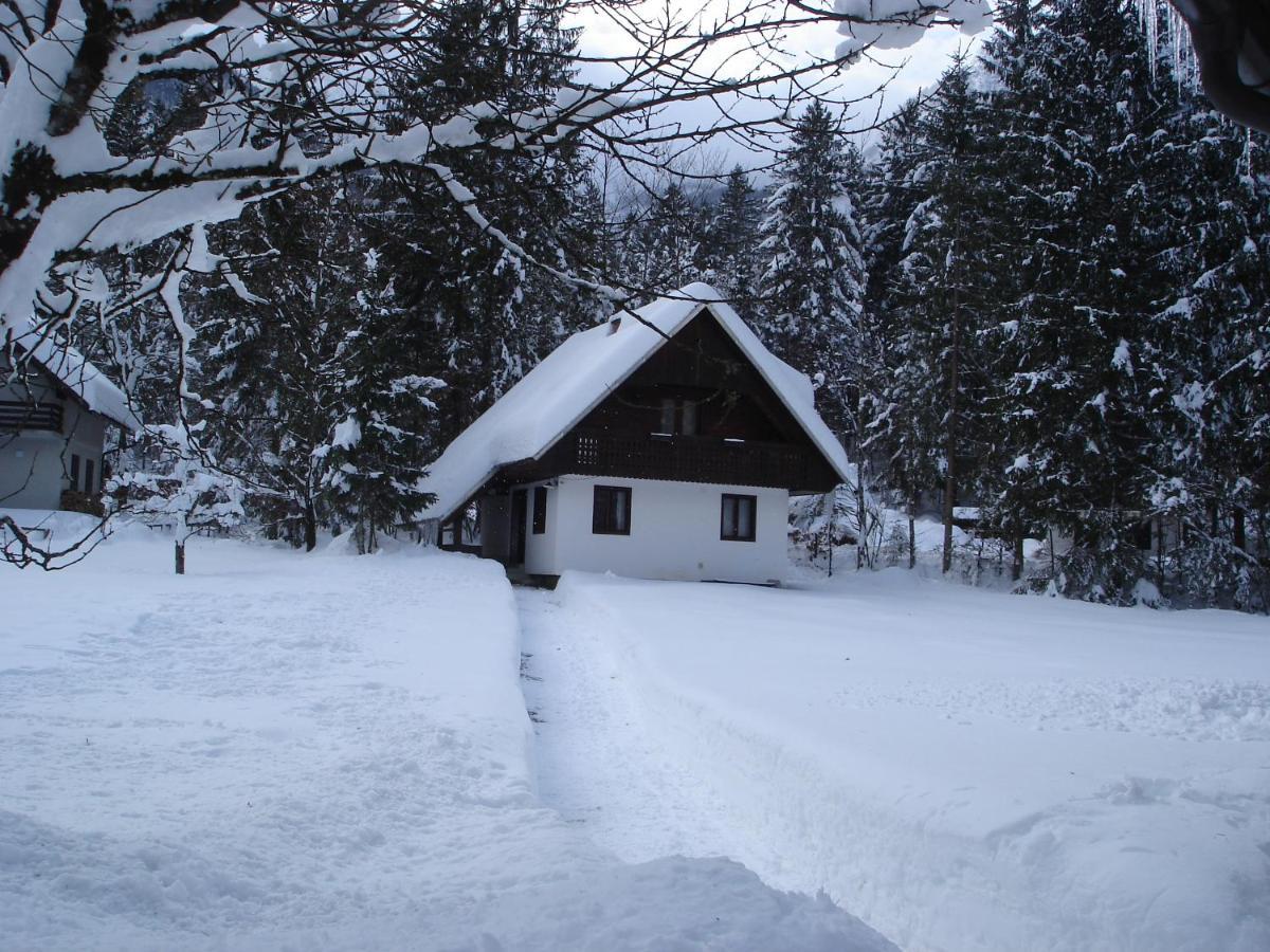 Apartment Lake Bohinj No. 5 Екстер'єр фото